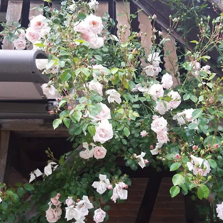 شقة 105 إغيستورف