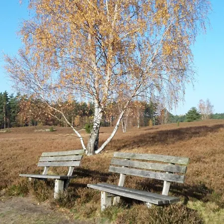 105 Egestorf